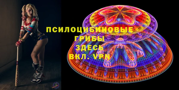 прущий лед Алзамай