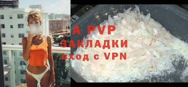 прущие крисы Абаза