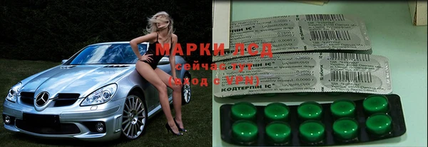 прущие крисы Абаза